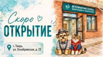 Скоро открытие веткабинета!
