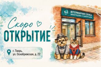Скоро открытие ветклиники!