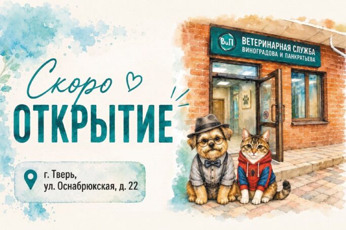 Скоро открытие ветклиники!