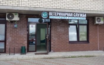 Открытие ветклиники!